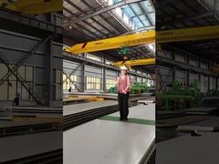 Piastra in acciaio inossidabile